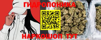 a pvp Вязники