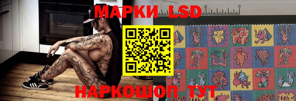 Лсд 25 экстази ecstasy  ЛСД экстази ecstasy  ЛСД экстази  Вход с VPN  Грозный 