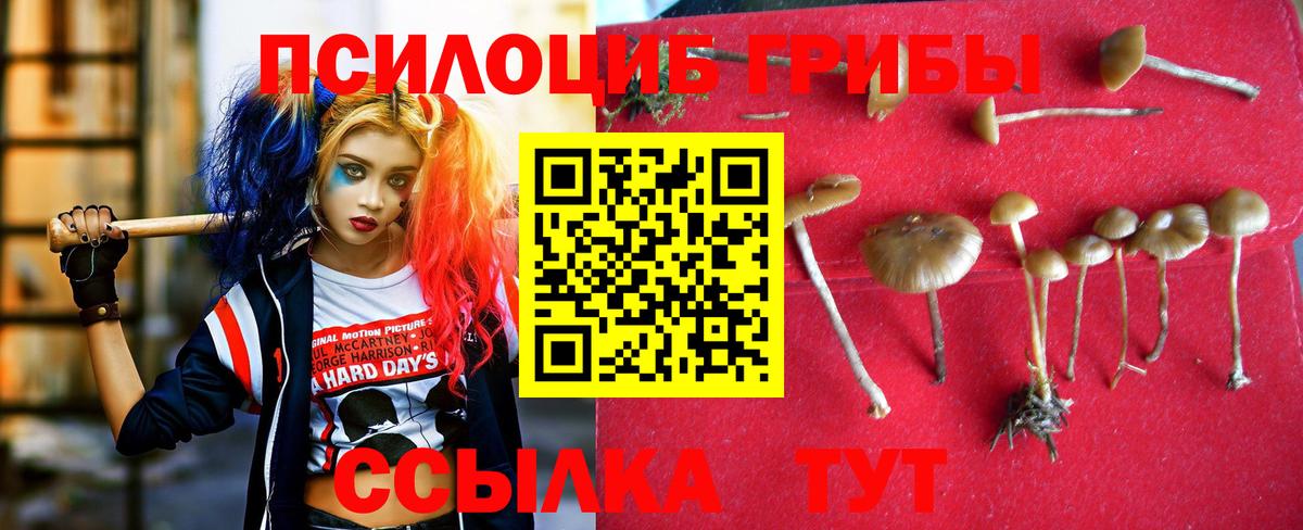 Грозный  Псилоцибиновые грибы ЛСД  Вход с VPN  Галлюциногенные грибы GOLDEN TEACHER 